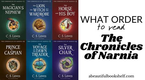 How Many Narnia Books Are There: An Insightful Exploration